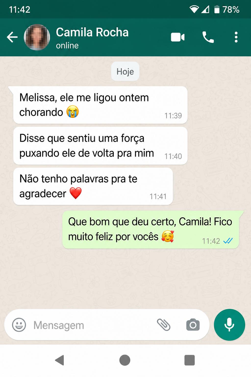 Conversa com cliente Camila Rocha